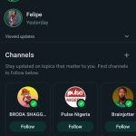 Find WhatsAPP Channel in Nigeria